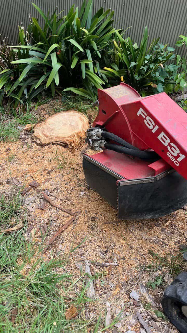 Stump grinder in action removing a tree stump from the ground.