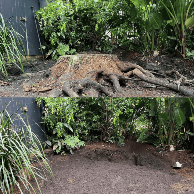 Tree stump removal and grinding in a lush garden setting.
