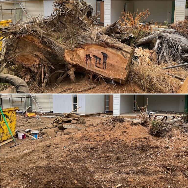 Professional stump grinding in Southside with efficient removal of tree stumps.