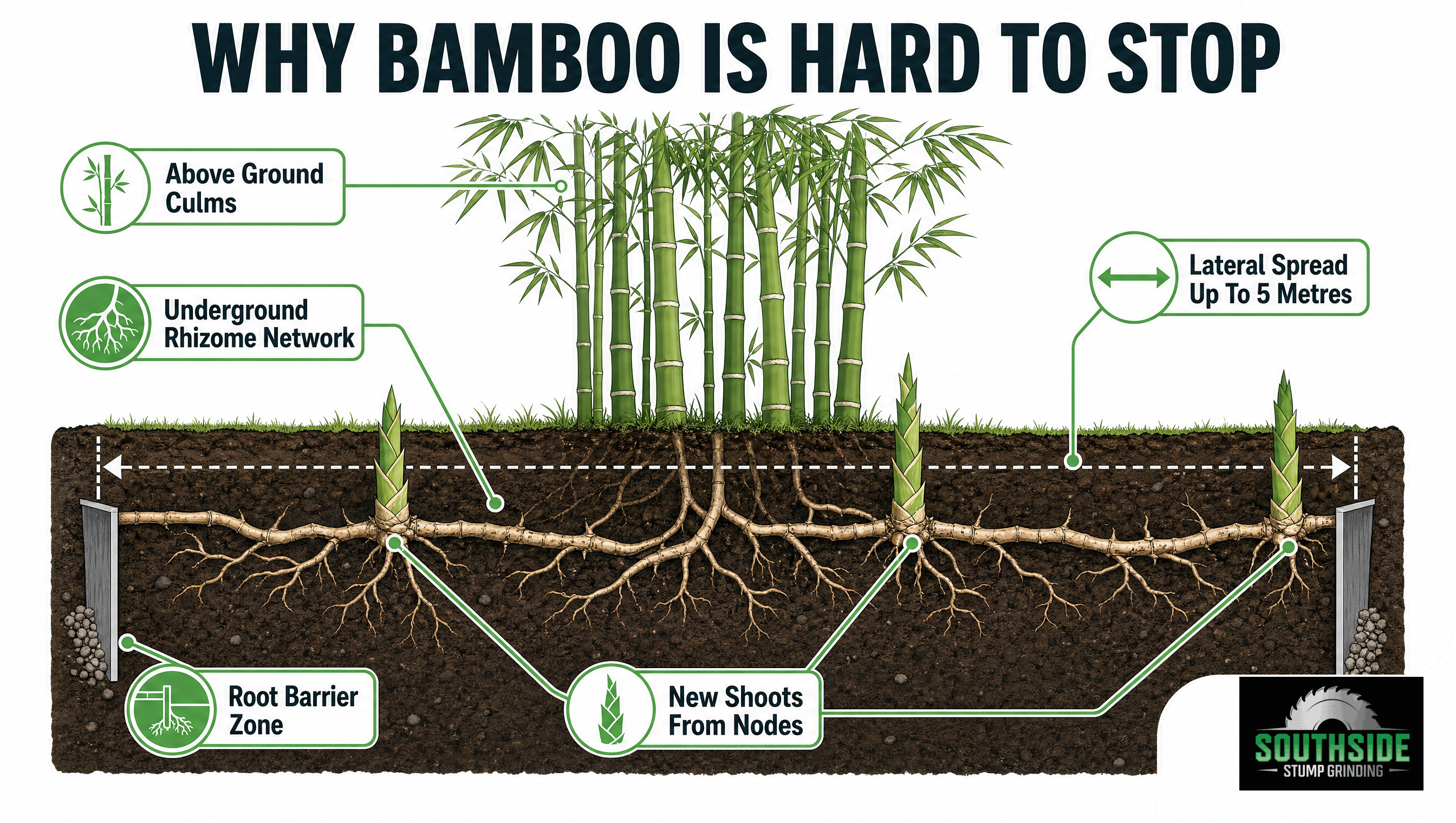 why bamboo is hard to stop