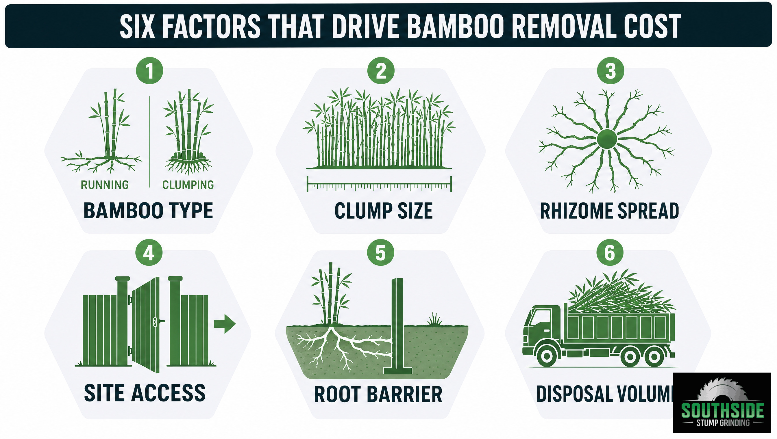 Six factors that drive bamboo removal cost, bamboo type, clump size, rhizome spread, site access, root barrier, disposal volume