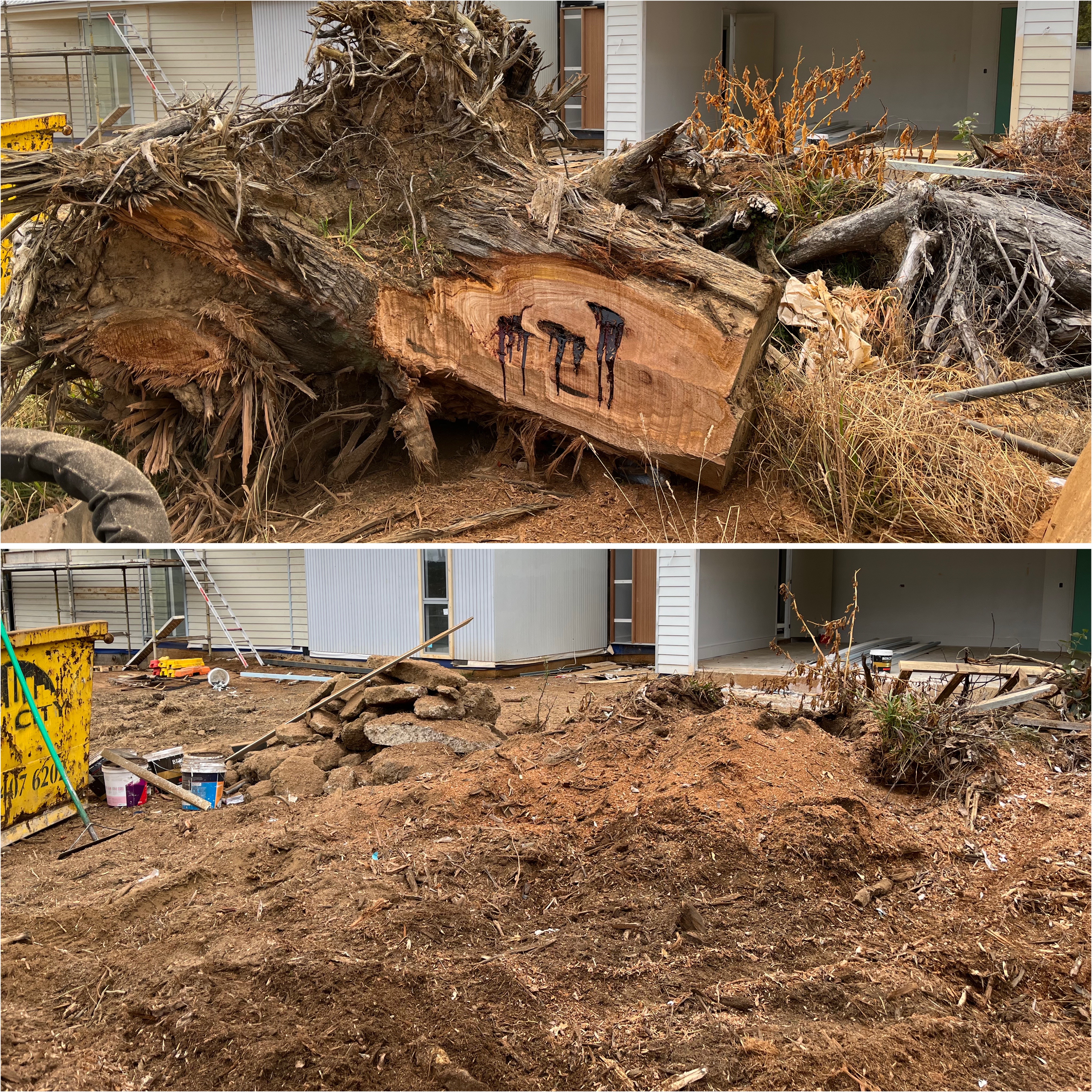 Tight access stump removal in Bowral and the Southern Highlands