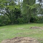 Professional stump grinding and tree removal services in Southside, Queensland. Call 0413 655 655 to.