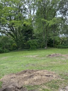 Professional stump grinding and tree removal services in Southside, Queensland. Call 0413 655 655 to.