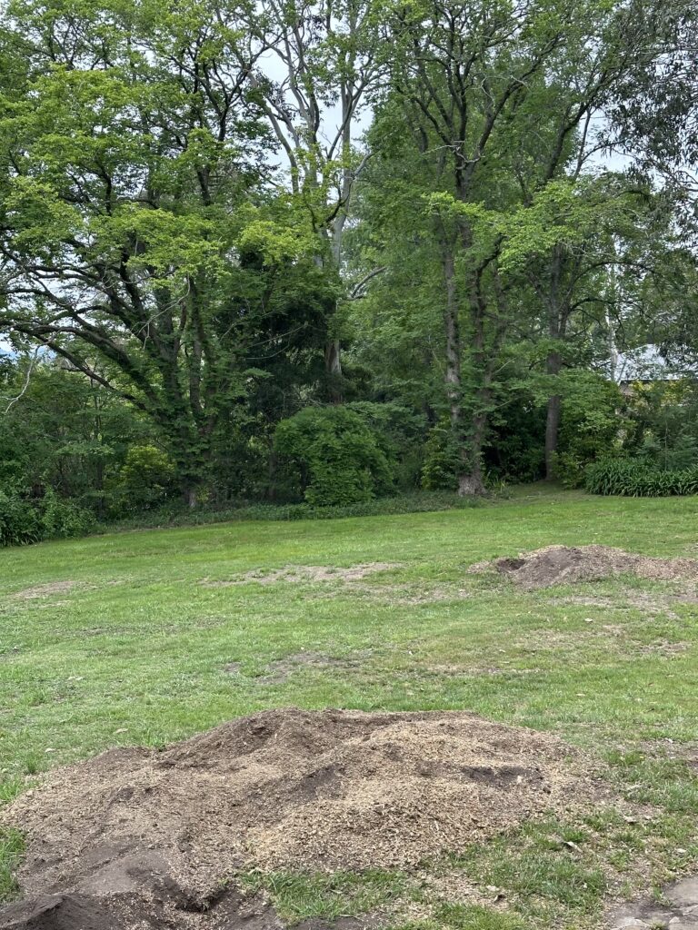 Professional stump grinding and tree removal services in Southside, Queensland. Call 0413 655 655 to.