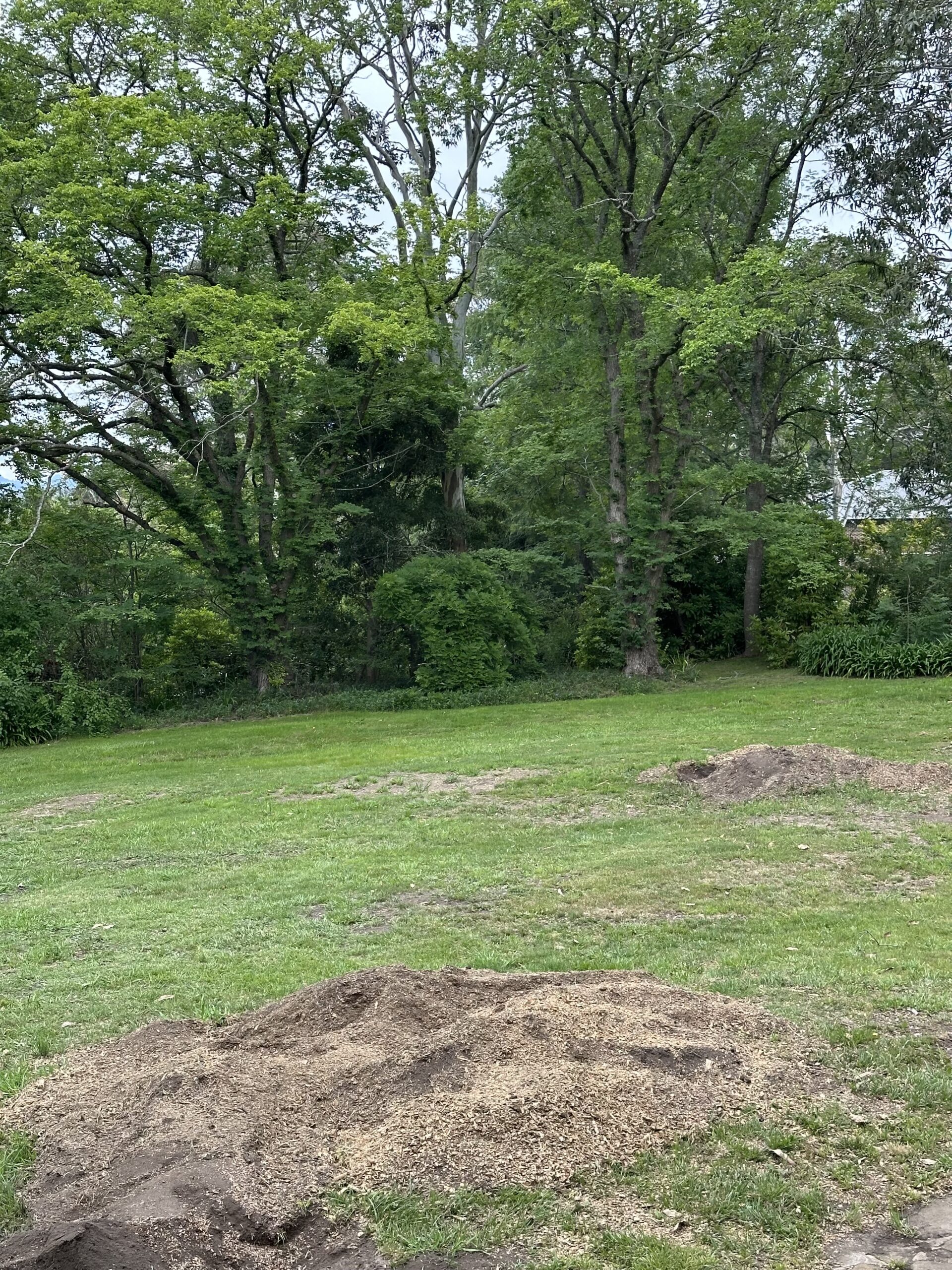 Professional stump grinding and tree removal services in Southside, Queensland. Call 0413 655 655 to.