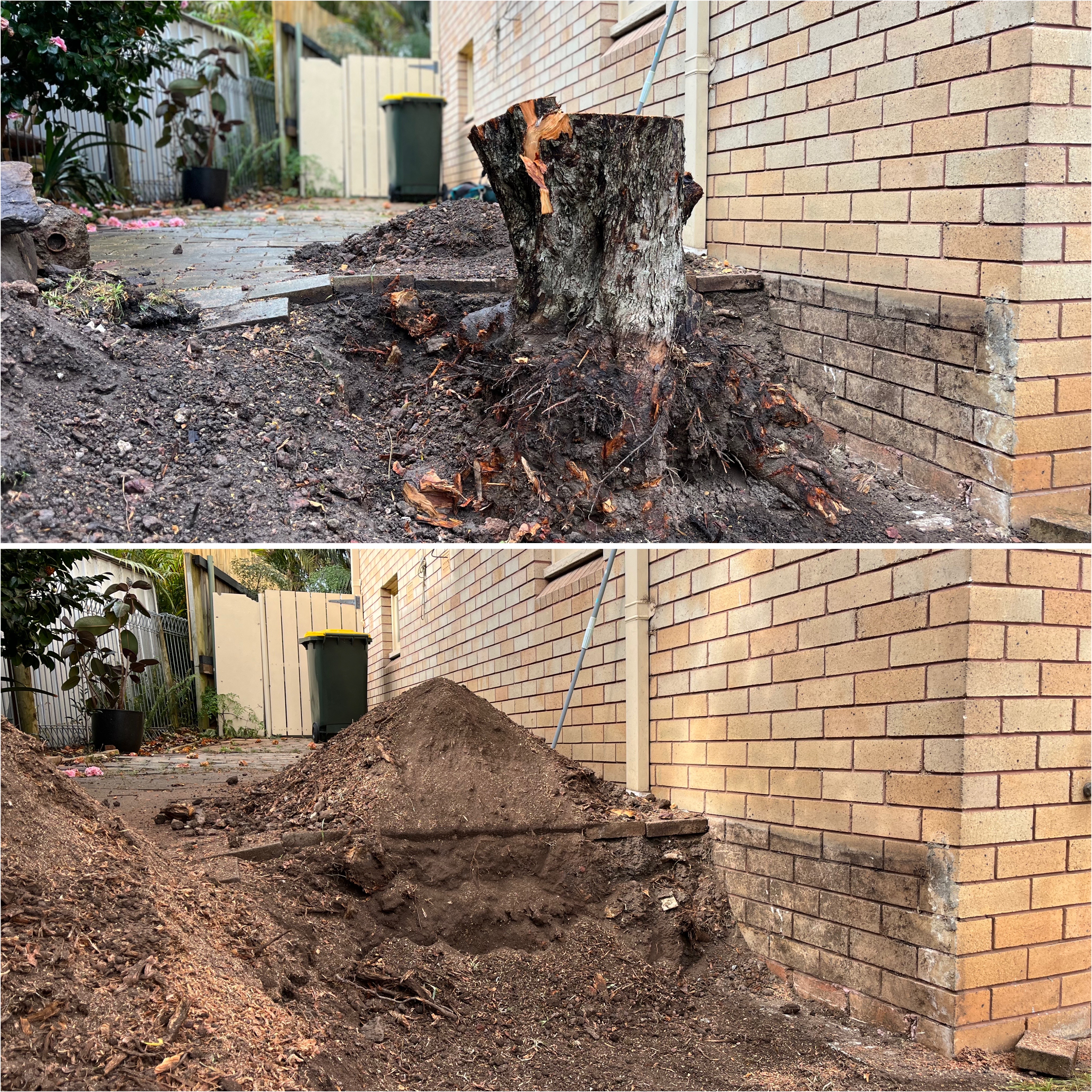 Before and after of a huge tree stump removed from a brick courtyard at a Southern Highlands property