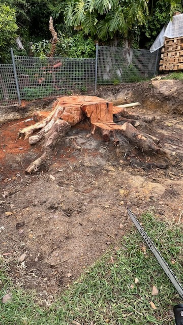Tree stump removal after grinding process in a backyard.