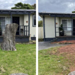 Real Southside Stump Grinding job photo from the Sutherland Shire service area, showing stump removal and grinding work