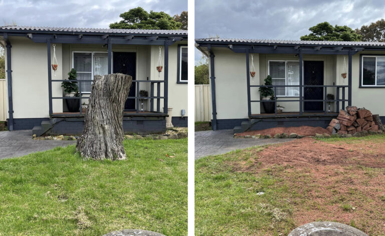 Real Southside Stump Grinding job photo from the Sutherland Shire service area, showing stump removal and grinding work