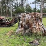 Tree stump removal service in a forested location with equipment visible.