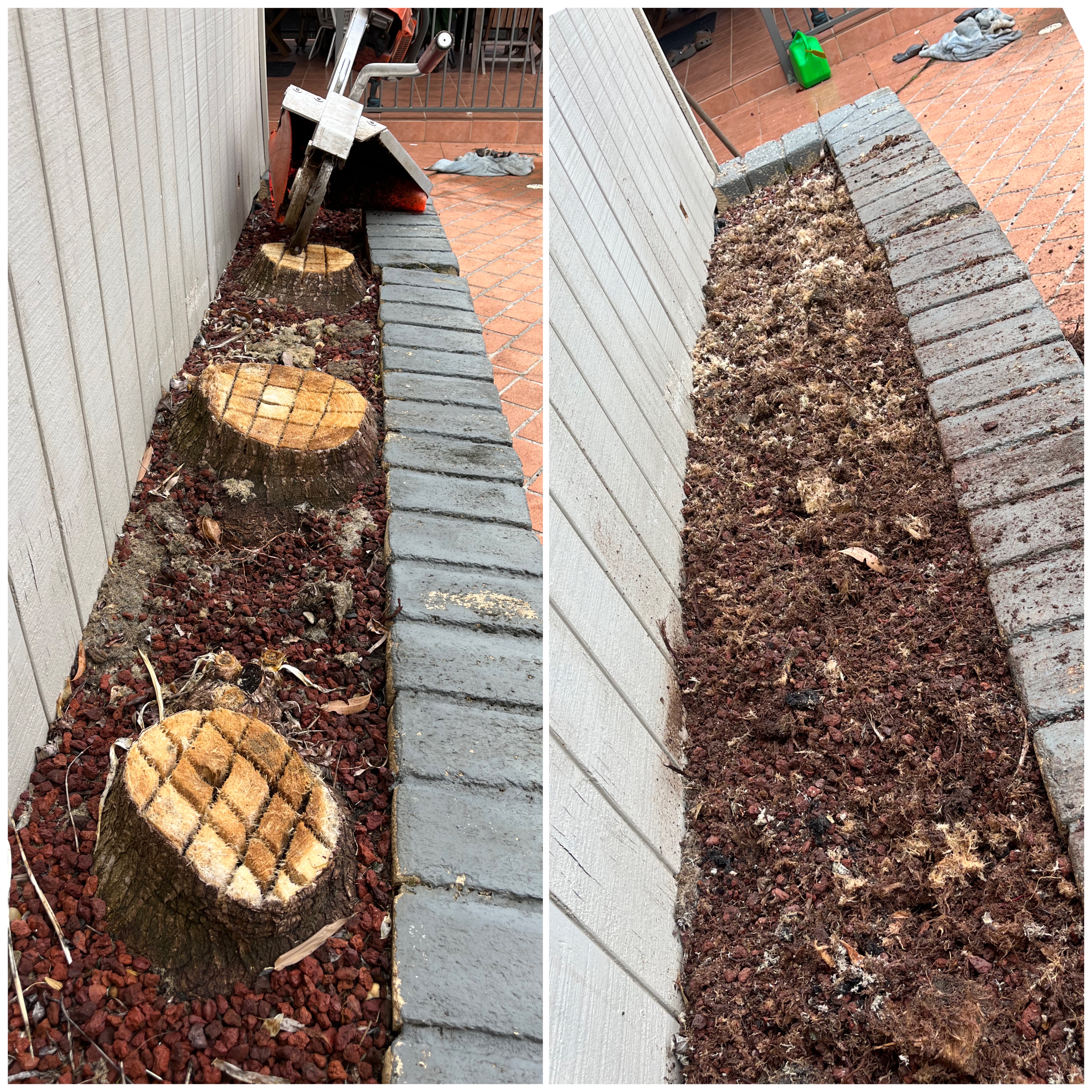 Three large stumps before and after grinding inside a narrow brick-walled garden bed in Wollongong