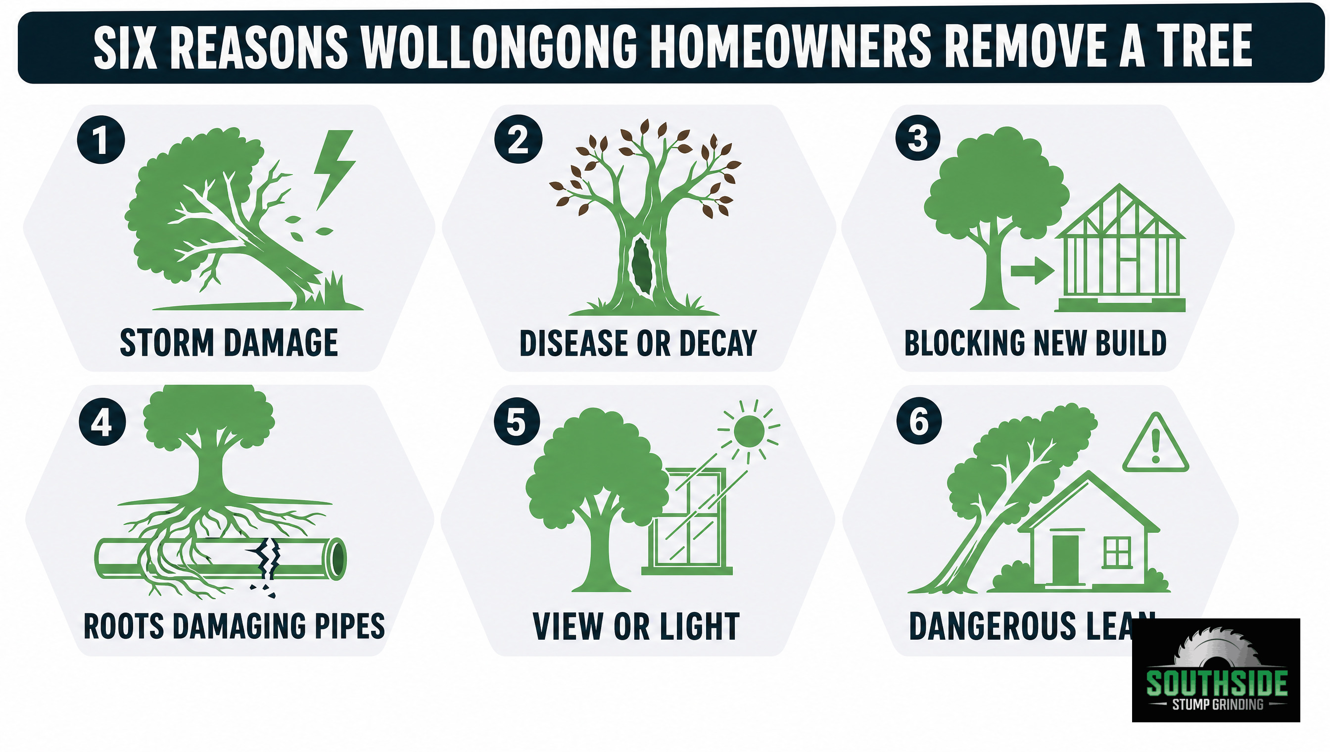 Six reasons Wollongong homeowners remove a tree, storm damage, disease or decay, blocking new build, roots damaging pipes, view or light, dangerous lean
