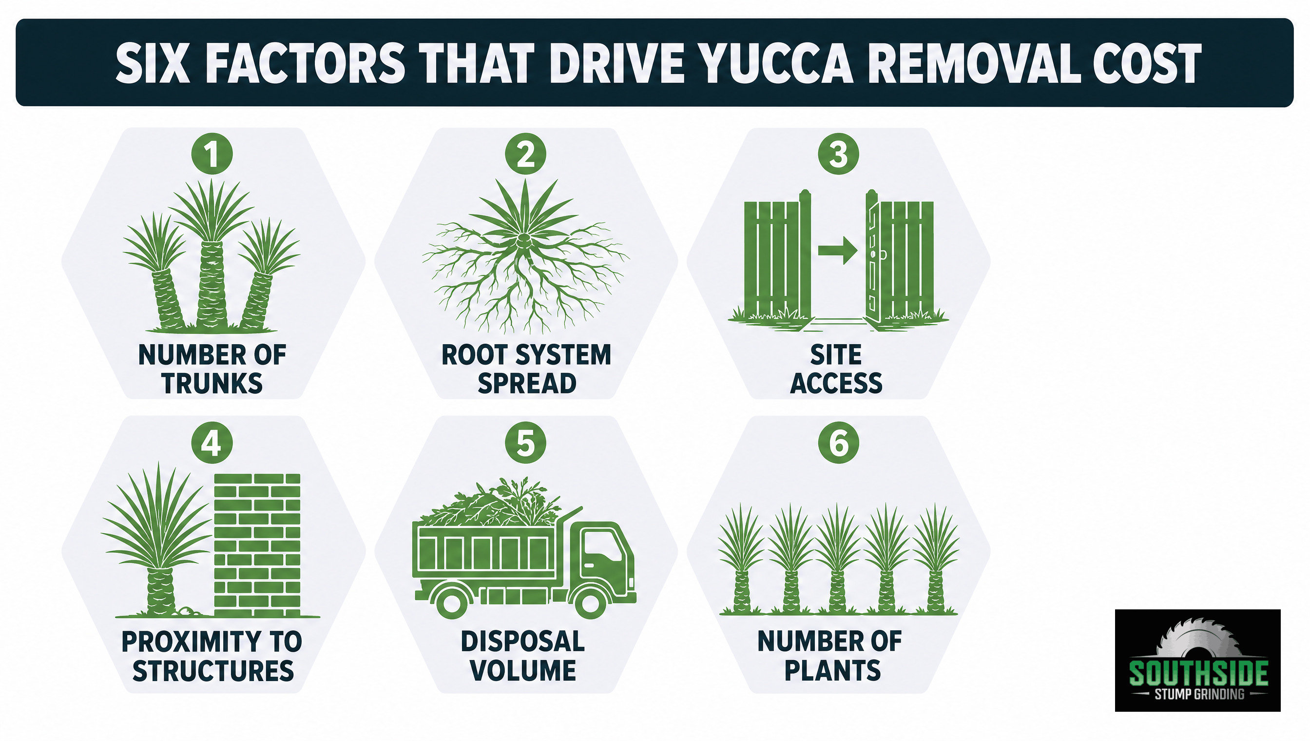 Six factors that drive yucca removal cost, number of trunks, root system spread, site access, proximity to structures, disposal volume, number of plants