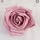 Rose Remlap Avatar